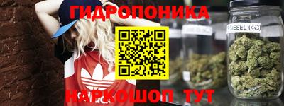 стафф Ефремов