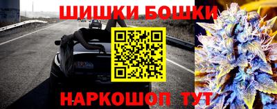 стафф Ефремов