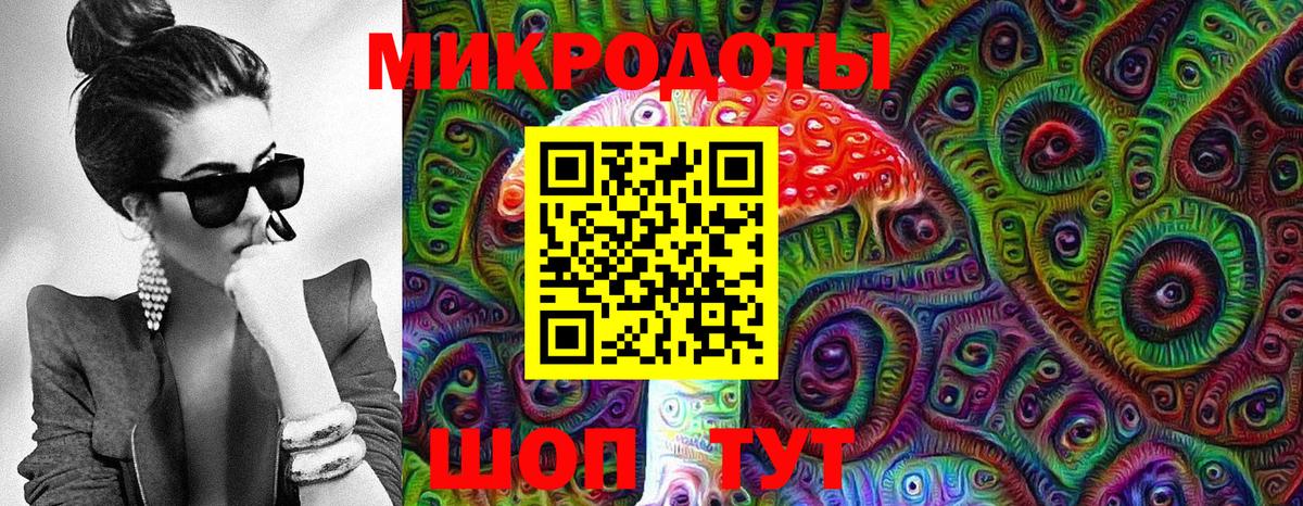Псилоцибиновые грибы Psilocybe Полевской